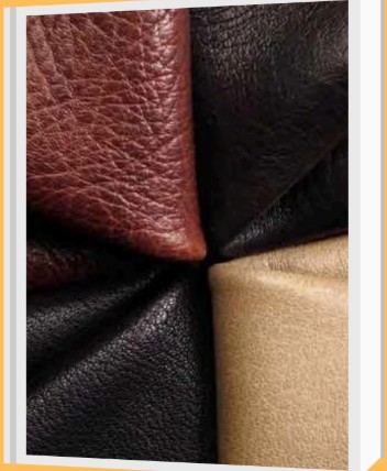 Top Grain Leather